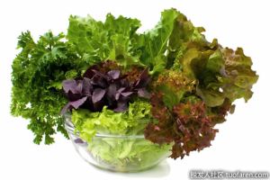 葉酸的最佳來源是什麼？