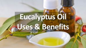 桉樹油對頭髮有什麼好處?