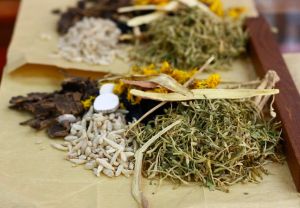 治療脱髮的中藥有哪些？