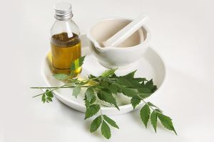 印楝油來促進頭髮和牙齒健康