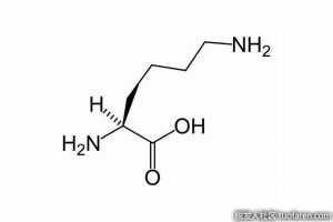 什麼是L-賴氨酸？