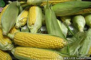 在家制作玉米油的3個步驟