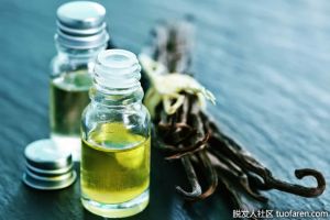 什麼是香草精油？