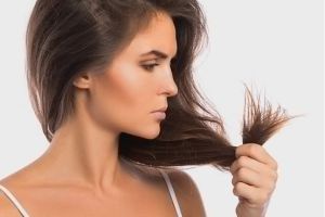 家庭療法解決頭髮乾燥問題