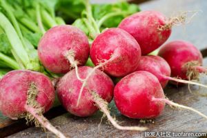 蘿蔔有哪些好處