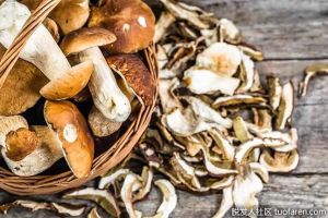 維生素D來源：蘑菇