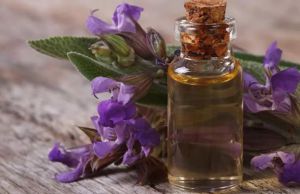 鼠尾草油用於頭髮生長