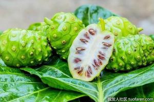 諾麗果改善頭皮亞健康狀態，激活毛囊促進頭髮生長