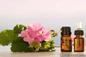 什麼是玫瑰天竺葵精油？