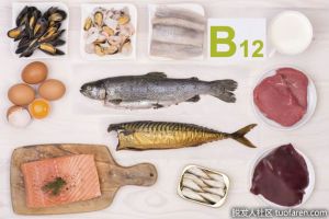 什麼食物含有維生素B12？