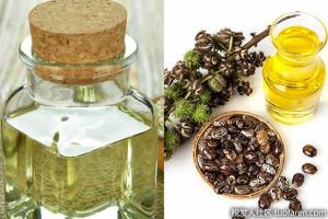 蓖麻油治療脱髮