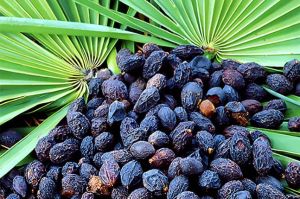 鋸棕櫚潛在的副作用