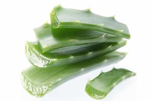 蘆薈如何幫助頭髮生長?