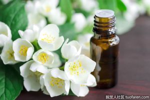 什麼是茉莉花精油？