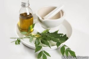 印楝油用於頭髮生長和頭皮健康