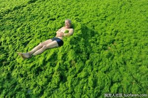 海藻油對健康的好處：每個人都需要的油