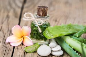 哪些產品是用蘆薈製成的?