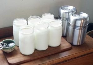 如何製作酸奶洗髮水