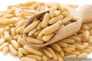 抑制DHT食物：松子