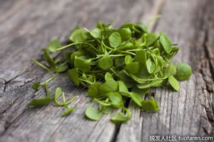 豆瓣菜對頭髮的好處