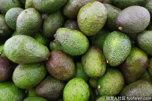 富含維生素E的食物：鱷梨