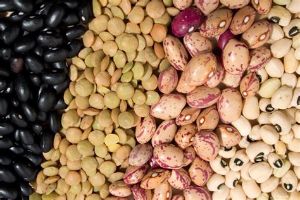 豆類富含蛋白質促進毛髮生長