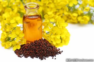 什麼是芥末油？