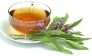 綠茶對更年期的益處