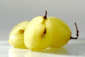 葡萄籽提取物和脱髮