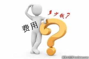 植髮能花多少錢？