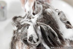 洗髮水成分：您應該知道的基本成分