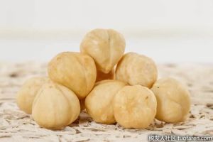 富含維生素E的食物：榛子