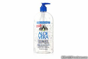 Fruit of the Earth蘆薈凝膠啫哩中的成分