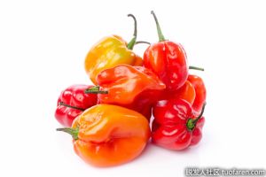 哈瓦那辣椒的好處