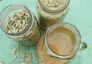 燕麥草茶對健康有什麼好處?