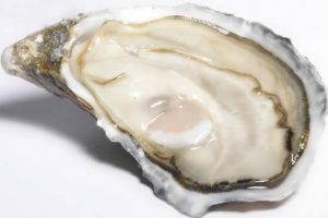 含鋅量最高的水果和食品