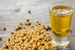 什麼是卵磷脂油？