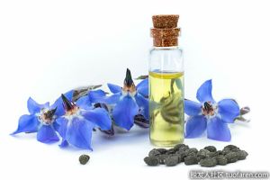 什麼是琉璃苣油補充劑？