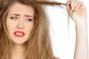 如何護理乾燥、易斷的頭髮