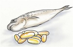 頭髮生長食物之脂肪魚