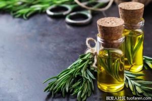 迷迭香精油對頭髮的功效