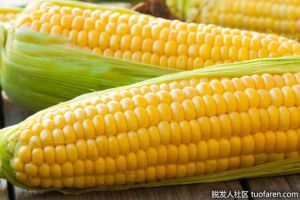 玉米的營養價值是什麼？