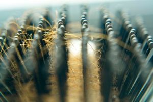 頭髮變細的原因是什麼?