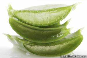 如何儲存蘆薈凝膠？