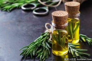 迷迭香精油及其功效