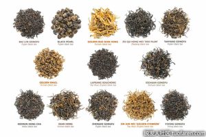 紅茶有哪些種類？