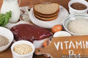 【組圖】硫胺素的來源是什麼？