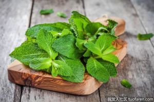 薄荷的好處