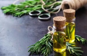 迷迭香油促進頭髮生長
