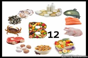 維生素B12食物、補充劑和每日攝入量RDA